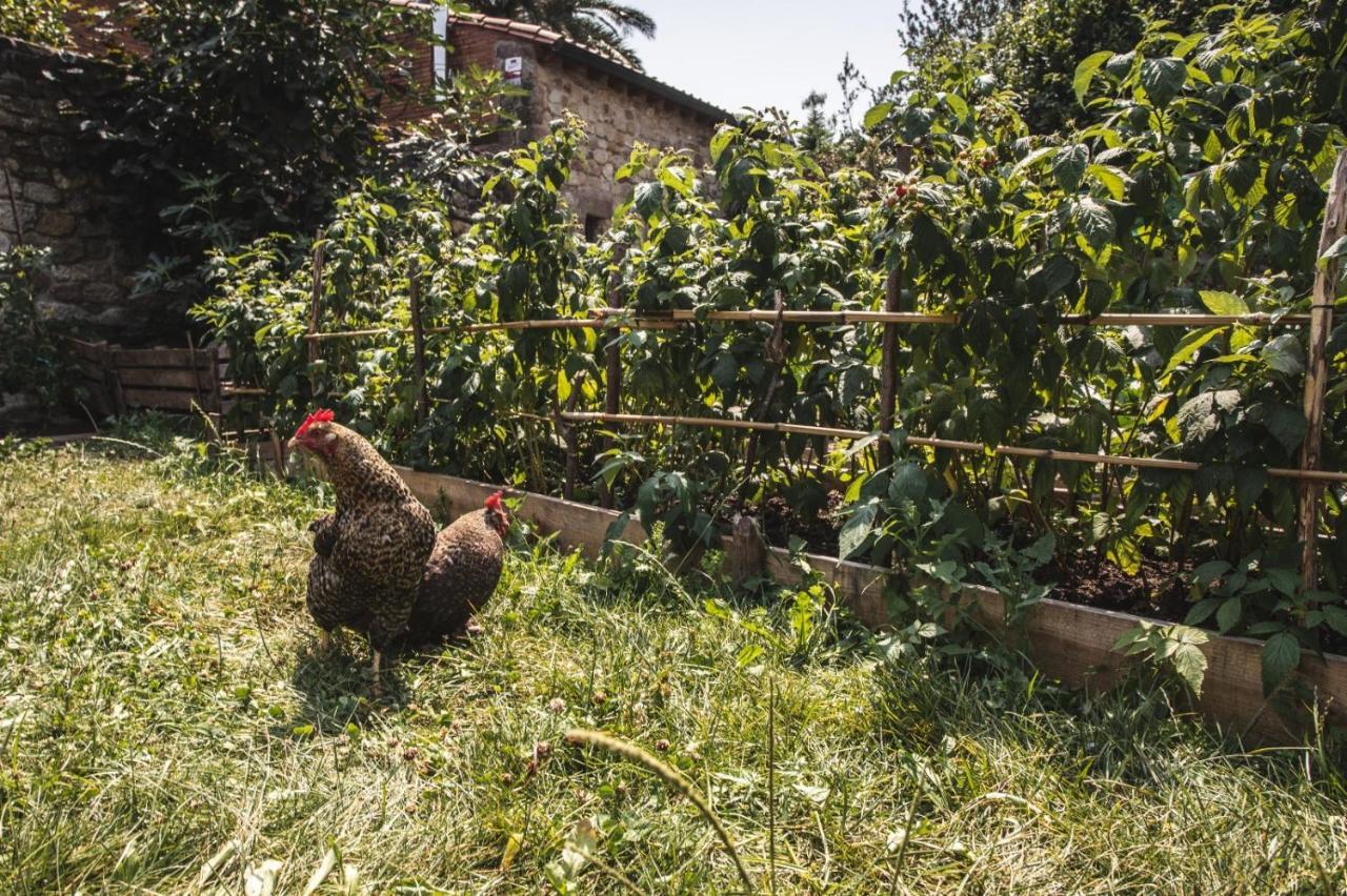 La Casa De Consuelo 3 Konuk evi Viérnoles Dış mekan fotoğraf